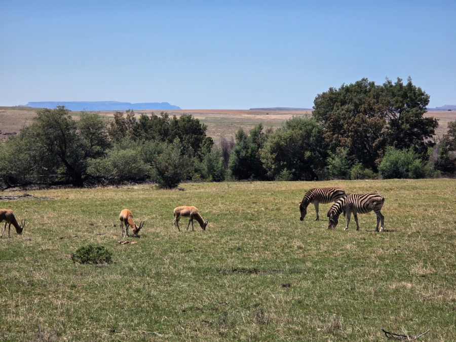 Commercial Property for Sale in Bethlehem Free State